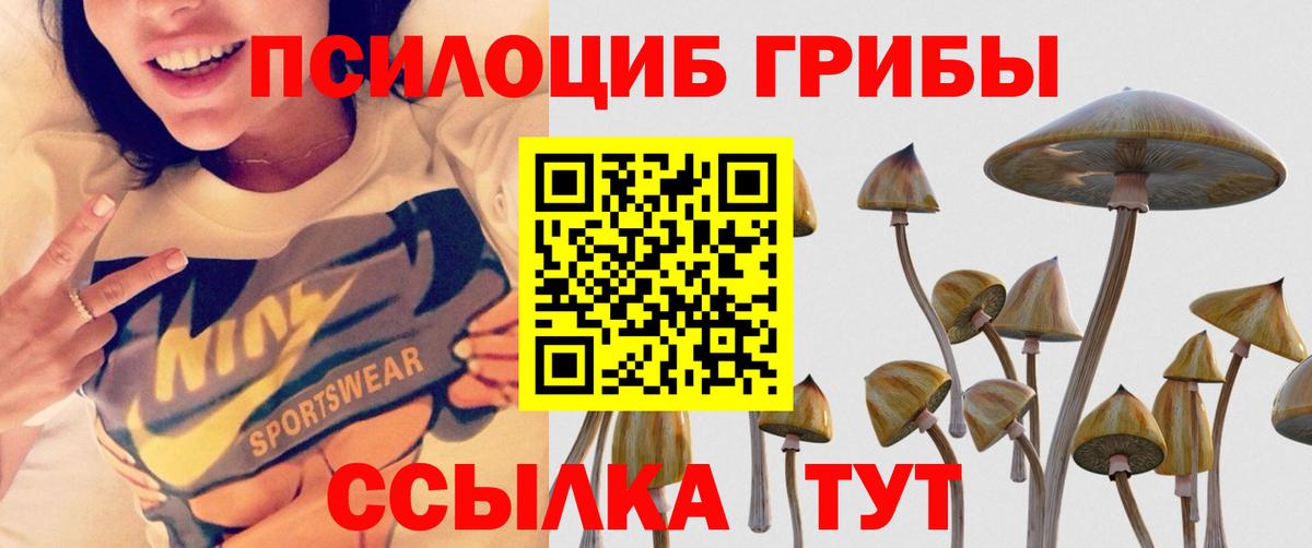 Галлюциногенные грибы мицелий Удомля